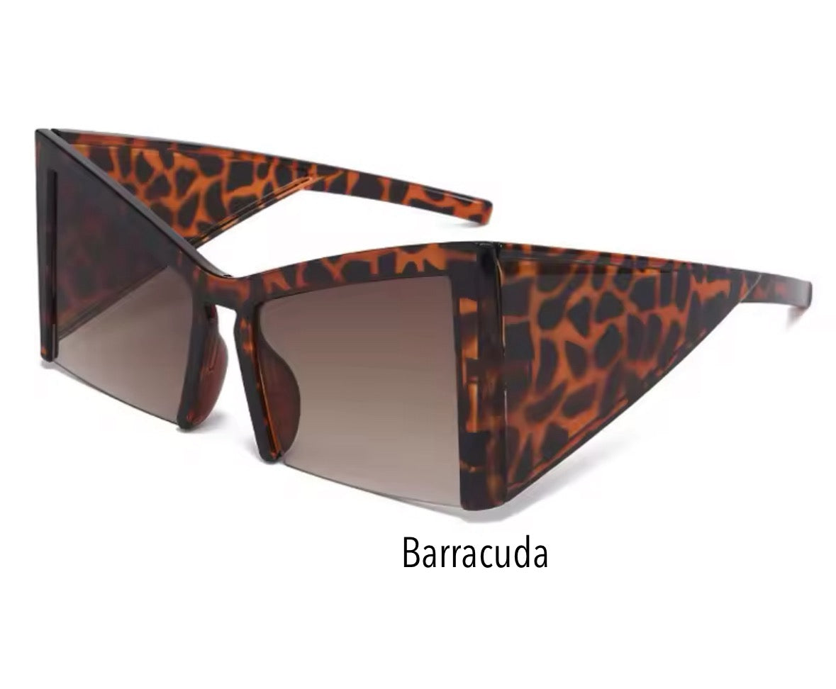 Barracuda